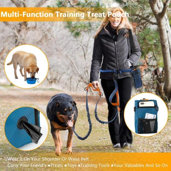 Dog Treat Training Pouch Bag